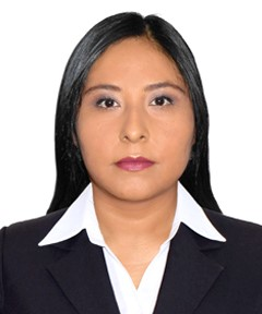 imagen_2025-06-26_130227638.png